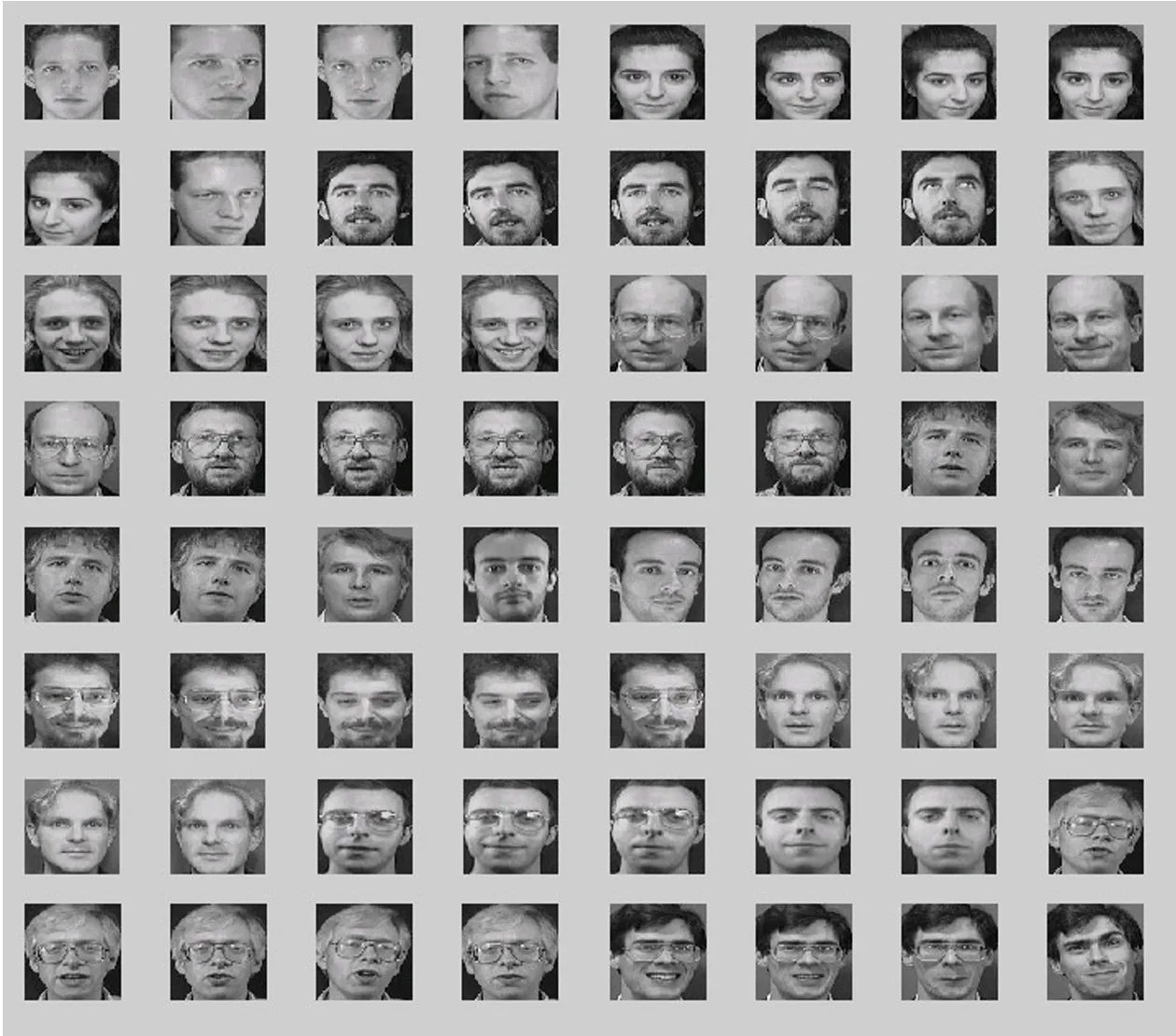 faceset