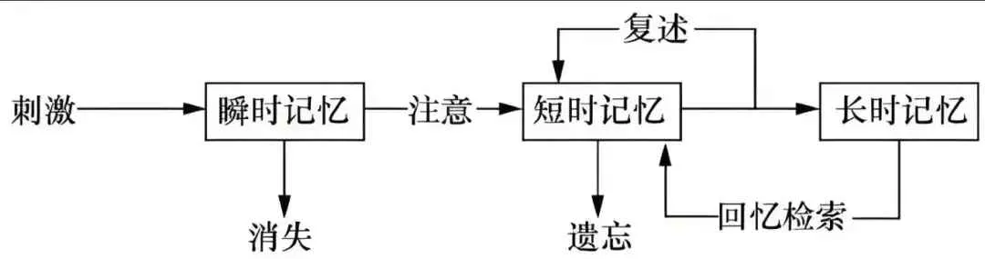 记忆