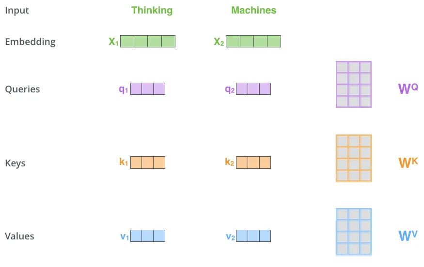 vectors